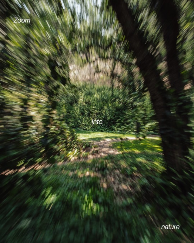 A forest path in a zoom blur, with the words “Zoom into nature”.
